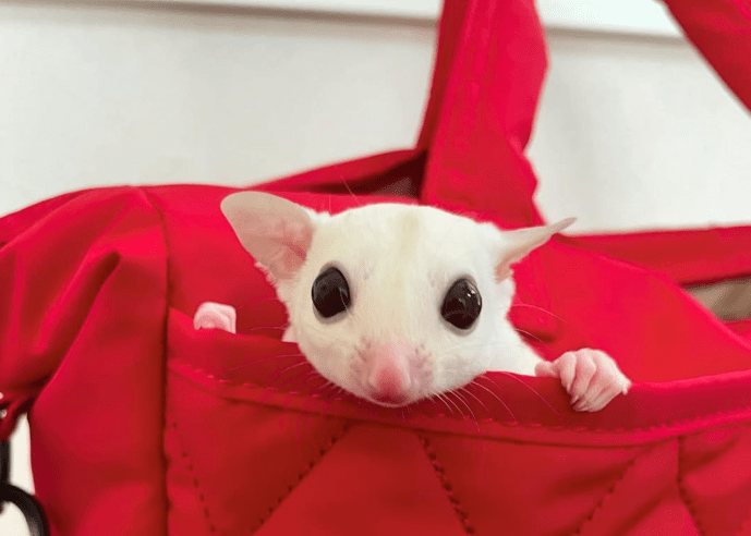 ブリーディングへのこだわり